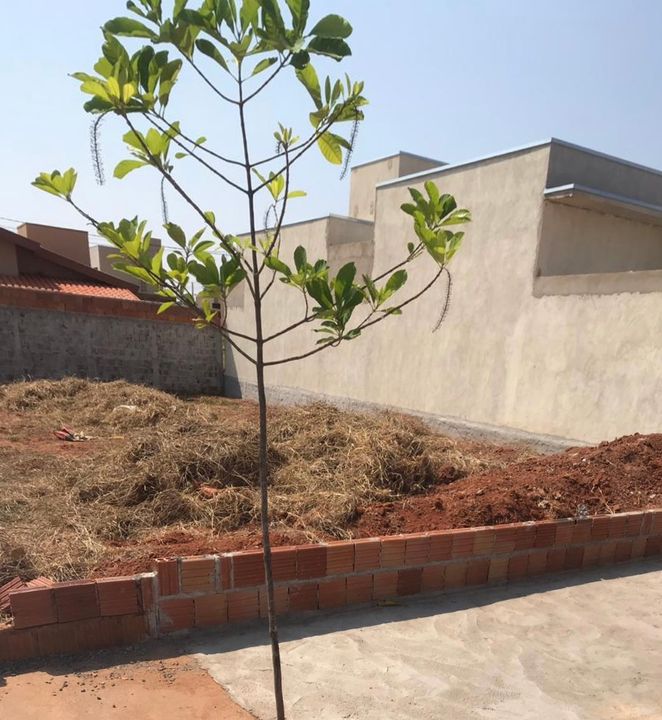 Captação de Terreno a venda na Rua Aristides Baccan, Residencial Mais Parque Mirassol, Mirassol, SP